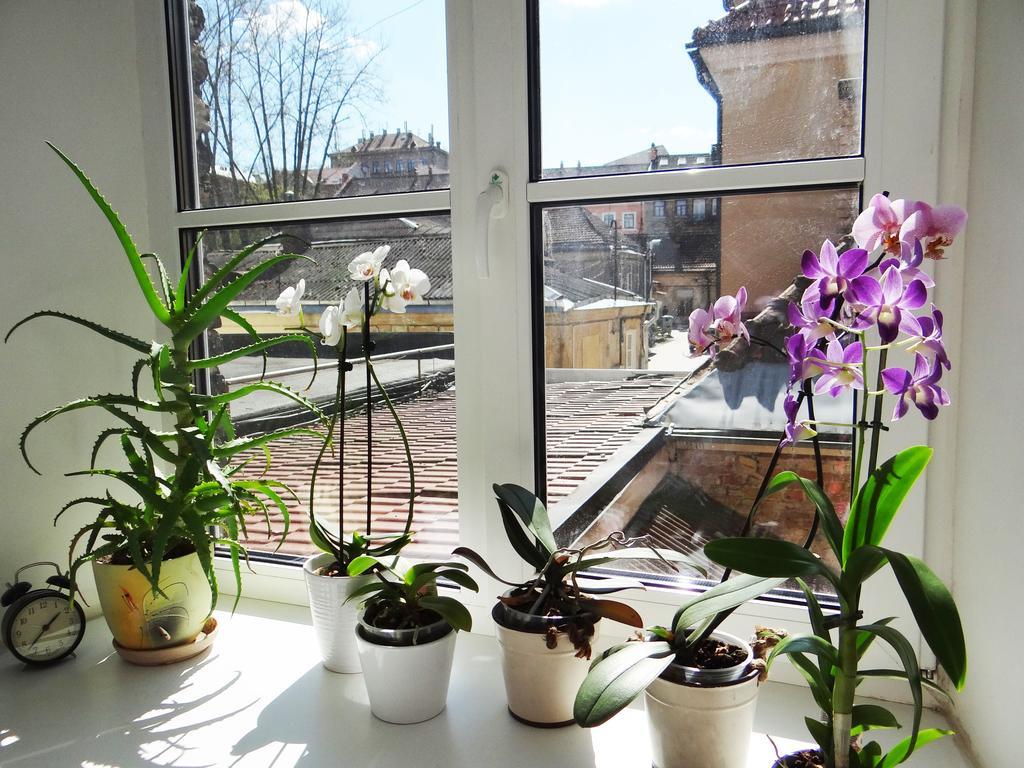 Provence Home Vilnius Exterior photo